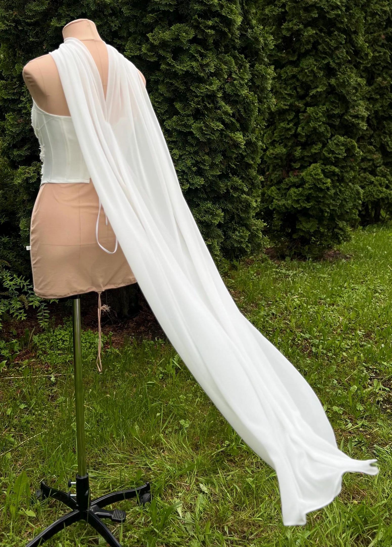 Foto gratis: giovane donna, bellissima, lungo, velo, vestito da sposa