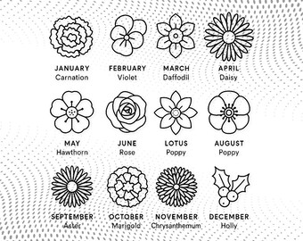 誕生花アートプリント：ミニマルな線画による12種類の花のイラスト