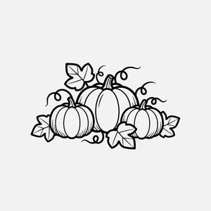 Può includere: Illustrazione in bianco e nero di tre zucche con foglie e viticci. Le zucche sono di dimensioni diverse, la più grande al centro. Le foglie e i viticci aggiungono un tocco decorativo, perfetto per temi autunnali o del raccolto.
