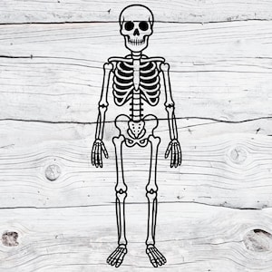 Skeleton SVG PNG | Halloween Skeleton Clipart | Spooky Skull Bones Cut File | Cricut Silhouette | Skeleton Sublimation Print