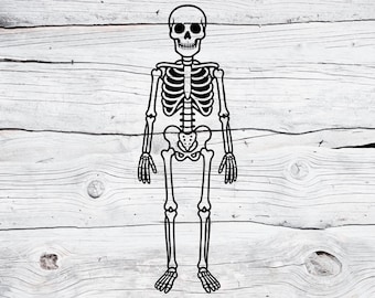Esqueleto SVG PNG / Clipart de esqueleto de Halloween / Archivo de corte de huesos de calavera espeluznante / Silueta de Cricut / Impresión de sublimación de esqueleto