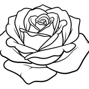 Könnte beinhalten: Schwarz-Weiß-Illustration einer Rose. Das Bild zeigt eine voll erblühte Rose mit vielen Blütenblättern, die die komplizierten Details der Blütenstruktur hervorheben. Der Umriss ist dick und fett.