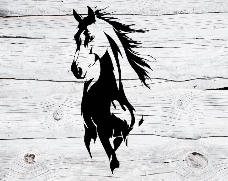 May include: A black and white graphic of a horse's head and upper body. The horse is depicted in a stylized, flowing design, with the mane and tail flowing. The background is a light-colored, weathered wood.