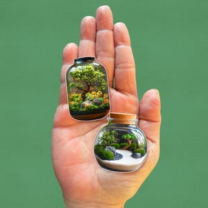 May include: Two glass jars with lids, containing miniature terrariums. The first jar has a small tree with green leaves and brown bark. The second jar has a small tree with green leaves and a white sand base.