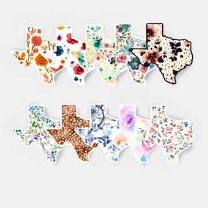 Adesivi Stati TEXAS / Bellissimi motivi floreali / Vinile impermeabile 3X3