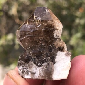 114 ct Natural Smoky Quartz Crystal Specimen from Balochistan – Raw Healing Stone, Collector’s Gem,