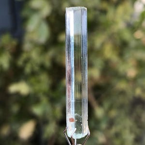 Puede incluir: Cristal de turmalina azul claro y transparente, sujeto por una pinza metálica plateada. El cristal es rectangular con estrías verticales. Se observa una pequeña inclusión rojiza. El fondo es follaje verde borroso. Mide unos 5 cm de largo.