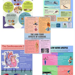 May include: Colorful infographic illustrating the components of physical fitness, including cardiovascular fitness, strength, muscular endurance, flexibility, speed, power, balance, reaction time, and agility. The infographic also includes information about the long-term effects of exercise and the benefits of a healthy active lifestyle.