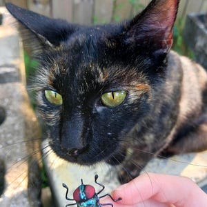 a very realistic housefly with an iridescent green body, clear finely veined wings, and dark red eyes being held in fingers while a brown cat looks at it