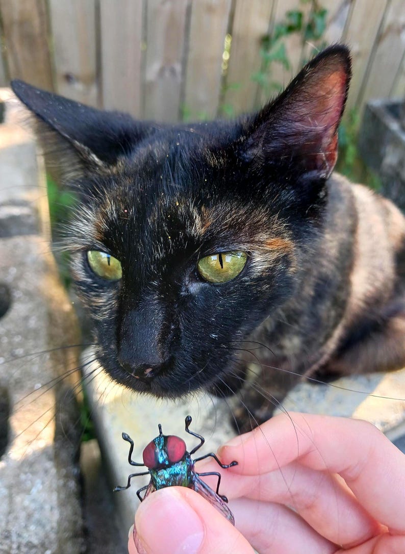 a very realistic housefly with an iridescent green body, clear finely veined wings, and dark red eyes being held in fingers while a brown cat looks at it