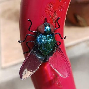 Realistic Handmade Clay & Wire House Fly Magnet image 7