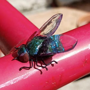 Realistic Handmade Clay & Wire House Fly Magnet image 8