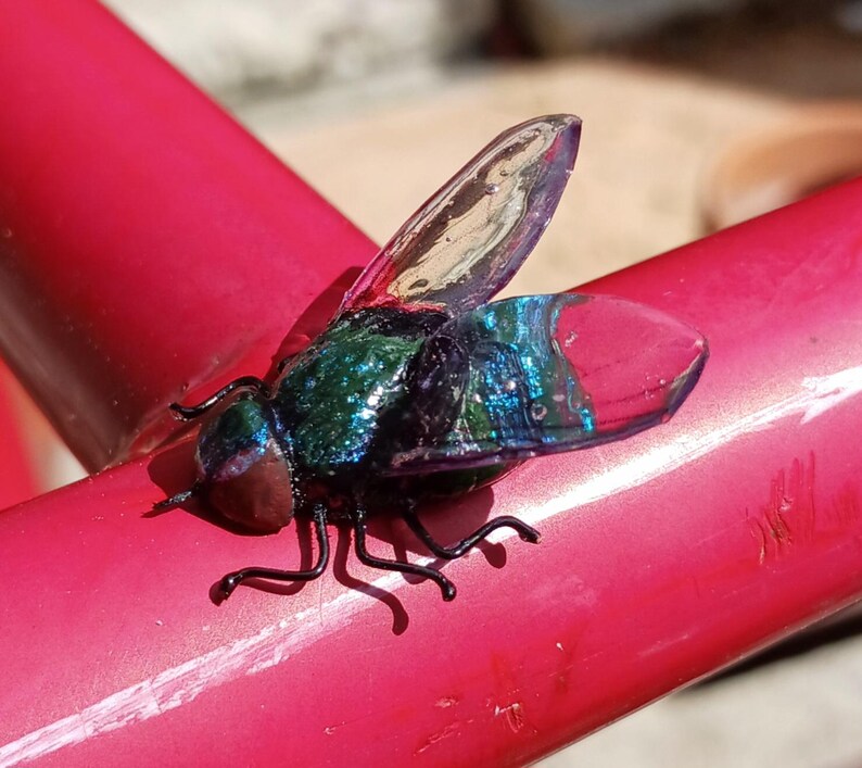 Realistic Handmade Clay & Wire House Fly Magnet image 8