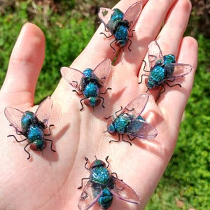 Realistic Handmade Clay & Wire House Fly Magnet image 1