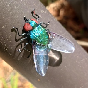 Realistic Handmade Clay & Wire House Fly Magnet image 6