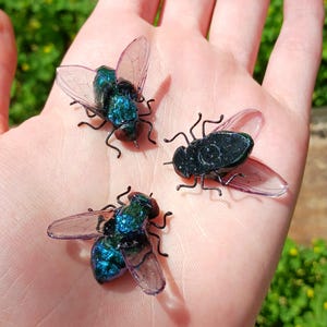 Realistic Handmade Clay & Wire House Fly Magnet image 2