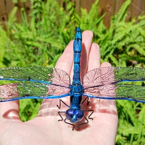 May include: A decorative dragonfly figurine featuring a metallic blue body and head with large, iridescent wings. The wings display a detailed network of veins with translucent pink and green sections. The insect has thin, dark, articulated legs.