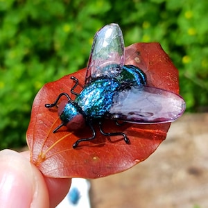 Realistic Handmade Clay & Wire House Fly Magnet image 3