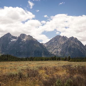 May include: A panoramic view of a mountain range with a grassy field in the foreground. The mountains are a dark gray color and have snow-capped peaks. The sky is blue with white clouds.