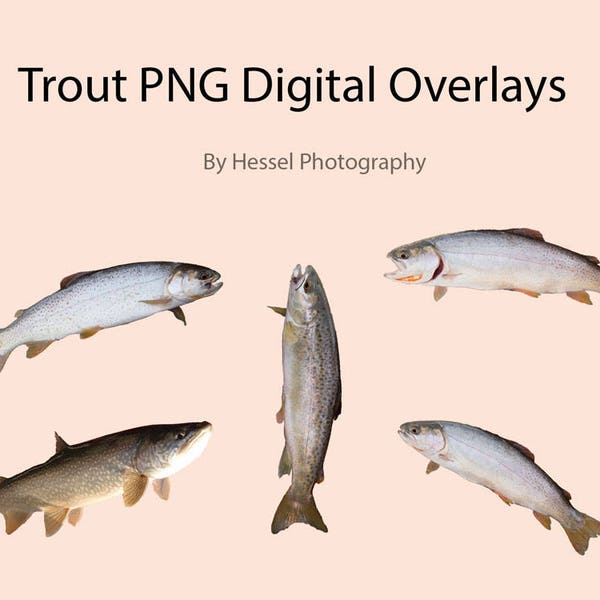 Fish PNG digital Overlay, photoshop overlays, trout stock, digital fish, png, overlays, photo overlay, photoshop, fish, trout, photoshop