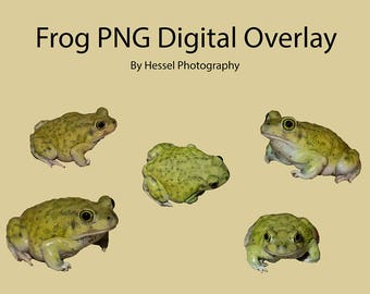 Frog PNG digital Overlay, photoshop overlays, frog stock, digital frog, png, overlays, photo overlay, photoshop, frog clipart, photoshop