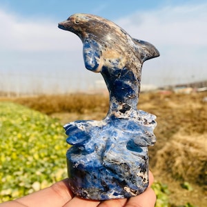 4.6inche Natural sodalite quartz,hand carved dolphin,sodalite crystal dolphin,home decoration,crystal gifts