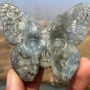 3.1inche Natural labradorite crystal,hand carved Butterfly,labradorite crystal Butterfly skull,home decoration,crystal gifts