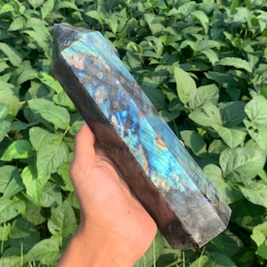 以下が含まれることがあります： 虹色の青と緑の光沢を持つ、大きな濃い灰色のラブラドライトの結晶ポイント。結晶はファセットカットされており、先のとがった先端を持っています。