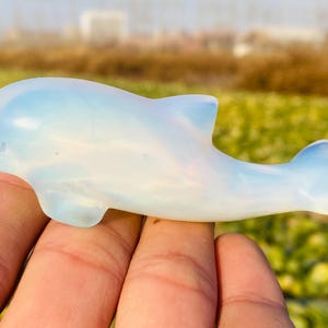 May include: A white opal dolphin figurine. The dolphin is carved in a realistic style and has a smooth, polished finish.