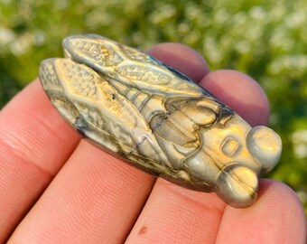 Natural Labradorite Hand Carved Cicada – Quartz Crystal Healing, Reiki, 1PCS