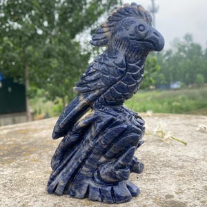 5.9inche Natural Sodalite crystal,hand carved,Sodalite Bird skull,home decoration,crystal gifts 1pc