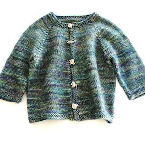 May include: A green and blue striped knitted cardigan with silver fish-shaped buttons.
