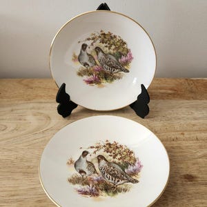 Elizabethan Royal Falcon Ware – Set of 2 Decorative Plates, Collectibles