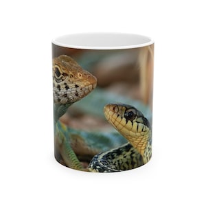 Showdown Reptile Coffee Mug | Lizard and Snake Wildlife Ceramic Mug