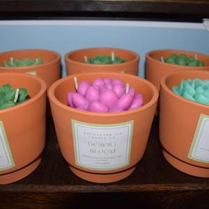 Succulent Plant Candle in Terra Cotta Pot- Realistic Succulent Candle- Desert Bloom Succulent Candle 10oz- Scented Soy Wax Candle