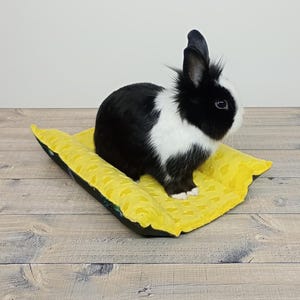 Handmade small pet cozy bed - Sleeping pillow for Guinea Pigs, Rabbits & Ferrets