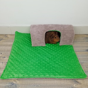 Tunnel with mat for guinea pigs, hedgehogs and rabbits, peeing mat, guinea pig hideout, rat play area