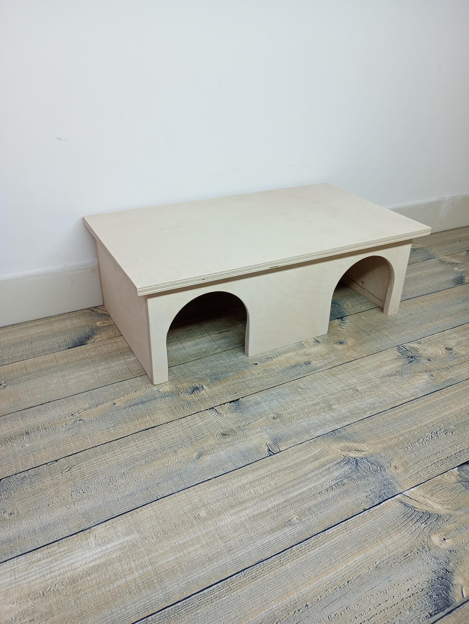 Illustration of Guinea Pig Hideaways Review