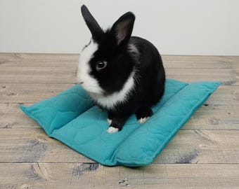 May include: A black and white rabbit sitting on a teal blue quilted pet bed.