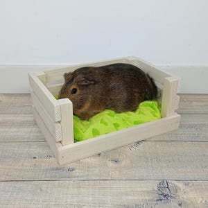 Pode incluir: Uma cama de madeira para pequenos animais de estimação, como porquinhos-da-índia ou hamsters, com um forro de lã verde. A cama é feita de madeira natural e tem um design simples e rústico.
