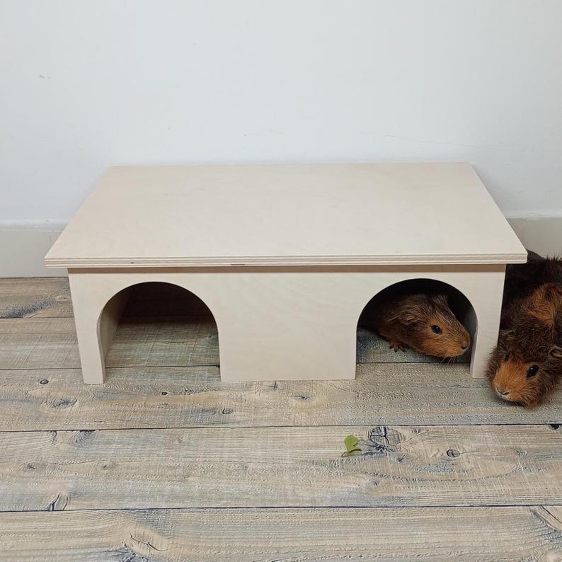 Picture Idea: Cozy Wooden Hideaway For Guinea Pigs Rabbits Chinchillas Guinea Pig