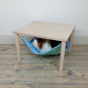 May include: A wooden platform with a blue and green hammock for small pets. A guinea pig is resting inside the hammock.