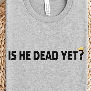 Is He Dead Yet T-Shirt, Funny Anti Political Shirt, Liberal Protest Shirt, Anti GOP Statement T-Shirt, Snarky Liberal Gift, Protest T-Shirt