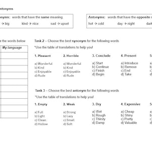 Synonyms and Antonyms Practice Worksheet