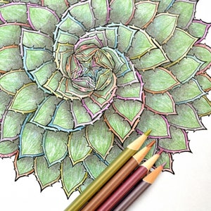 Aloe Polyphylla - See the Grace Instead of the Little Prickles - Sacred Geometry Spiral Aloe Mandala Coloring Page - Instant Download PDF