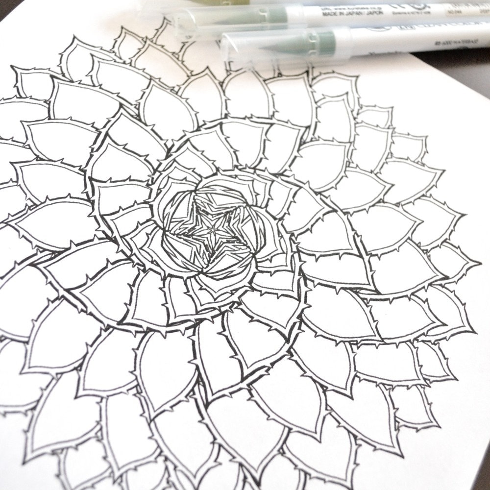 aloe polyphylla drawings