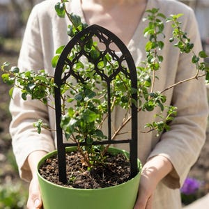 May include: A black metal plant trellis with a gothic arch design is placed in a green pot with a small plant. The plant has green leaves and brown stems. The pot is held by a person wearing a beige shirt.