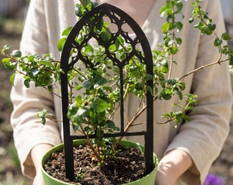 Enrejado de madera para plantas de estilo catedral gótica: Accesorios de soporte para plantas de interior