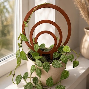 Può includere: Un traliccio per piante in metallo color ruggine con tre anelli concentrici di dimensioni variabili. Il traliccio è inserito in un vaso di ceramica chiaro contenente una pianta verde ricadente con foglie variegate a forma di cuore.