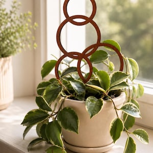 May include: A rust-colored metal plant trellis featuring a vertical arrangement of four interconnected circular rings. The trellis is inserted into a light beige ceramic pot containing a trailing plant with variegated green and cream leaves.